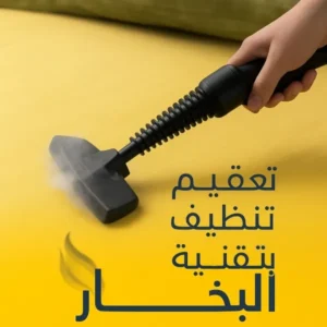 جهاز التنظيف بالبخار الأصلي